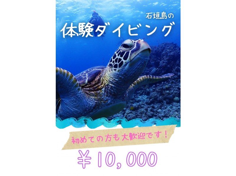 【石垣島/半日】初心者、団体OK！ボートクルーズ、マンタとウミガメ体験ダイビング&シュノーケル、器材、飲み物、タオル付き、写真無料プレゼントの紹介画像