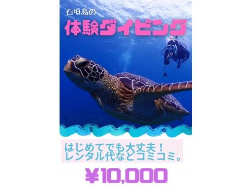 【石垣島/半日】初心者、団体OK！ボートクルーズ、マンタとウミガメ体験ダイビング&シュノーケル、器材、飲み物、タオル付き、写真無料プレゼントの画像