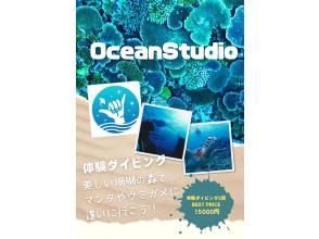 【石垣島/半日】ボートクルーズ、絶景珊瑚とマンタとウミガメ２体験ダイビング、器材・飲み物・タオル付き