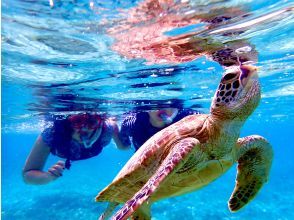 【奄美大島・送迎無料】【大人気！ウミガメ・熱帯魚の贅沢シュノーケリング】〈遭遇率100％継続中！〉１グループ限定貸切！