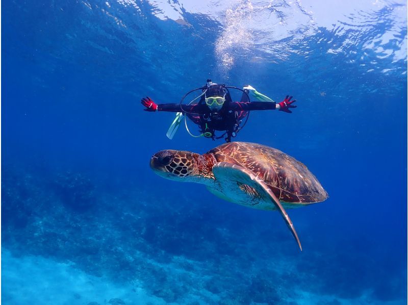 【北海道・SUP体験】透明度の高い支笏湖の湖面をクルージング！SUP体験（半日コース）の画像
