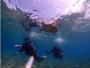 【屋久島・体験ダイビング】究極の満足度！練習無制限＆無重力体験付き！感動の【スーパープレミアム２ダイブ】初心者の為の専門店《屋久島/夢心地》