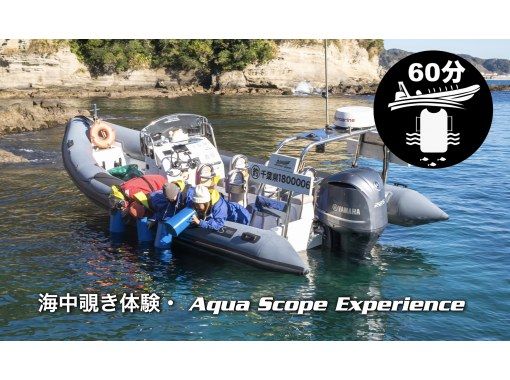 BOAT TRIP AquaScope 충분히 보이지 않는 카츠우라의 아름다운 해중의 세계를 들여다 봅시다の画像