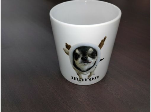 【奈良県・奈良市】ペットの写真が入ったオリジナルマグカップ作り・クッション作り。お気に入りの写真でフルカラーのオリジナルグッズがつくれます。の画像