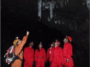 【山梨・河口湖】富士山麓・青木ヶ原樹海の溶岩洞窟探検(ケイビング)の画像