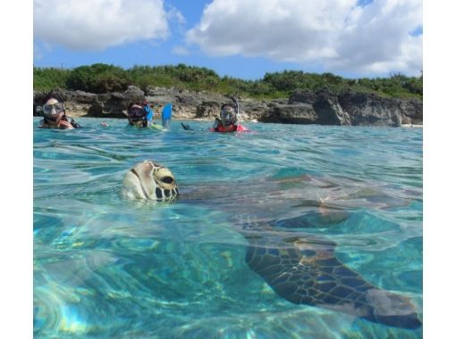 [Sale!] ☆Sea turtles + clear kayak + [Phantom island] Uni Beach☆ (with drone aerial photography)の画像