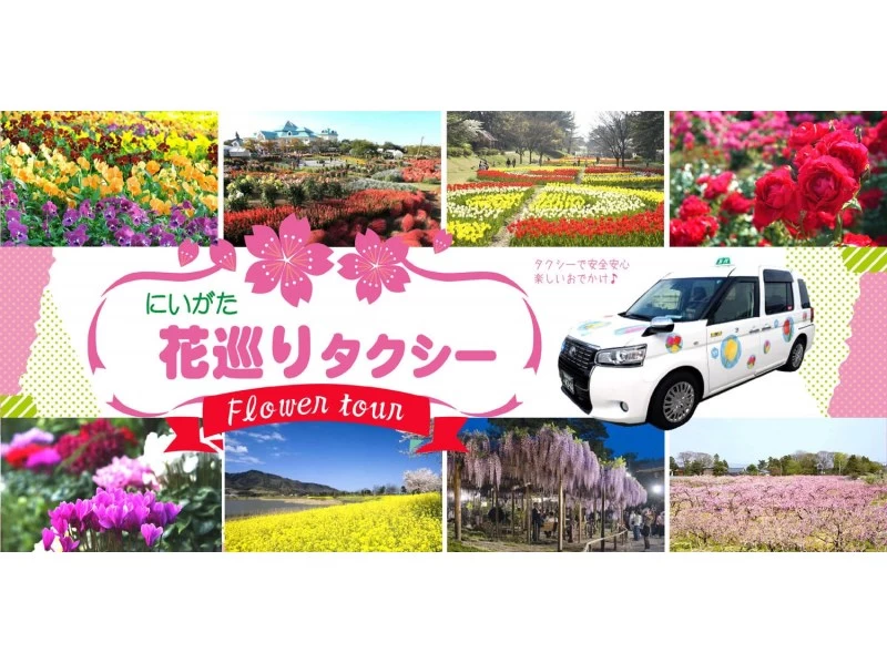 【新潟・新潟】にいがた花巡りタクシーの紹介画像