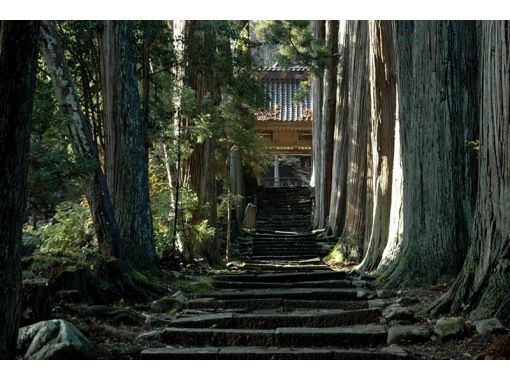 おけさ観光タクシー