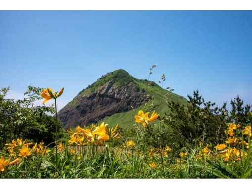 【新潟・佐渡】外海府の海岸線を巡る！「北の絶景・外海府と世界文化遺産登録決定の【佐渡島の金山】コース」観光タクシーで楽々悠々♪の画像