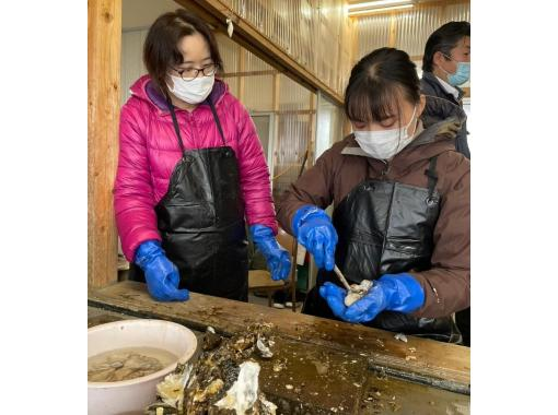 [Niigata/Sado] Cook by yourself! Fully experience the charm of Sado Kamo Lake gourmet oystersの画像