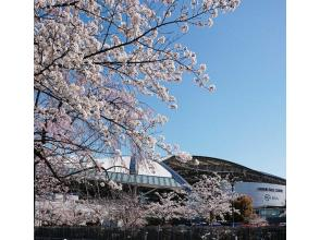 【兵庫・宝塚】伝説の予想士と巡る阪神競馬場ツアー　～競馬の仕組みから施設案内まで、最後はみんなでレース予想！～