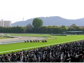 【京都・淀】伝説の予想士といくグランドリニューアルオープンの京都競馬場ツアー　～競馬の仕組みから施設案内、最後はみんなで勝ち馬を予想しよう～