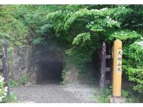 【新潟・佐渡】ガイド付き山師ツアー 上級者向け（中学生以上）