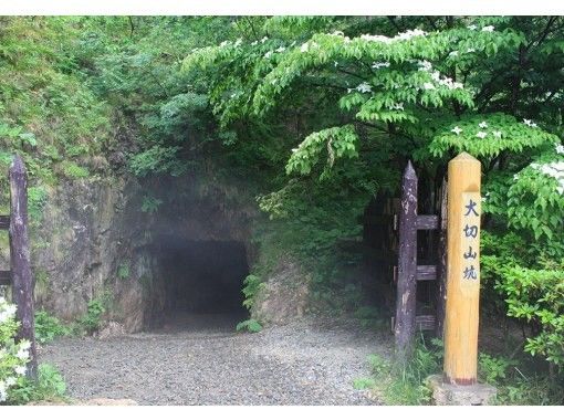 [新泻/佐渡]高级用户（初中生以上）的山石导游の画像