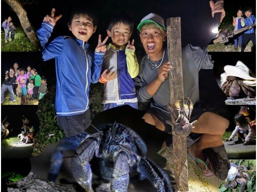 石垣島【ナイト/体験1時間】当日予約OK! 小学生未満無料!石垣島の夜の生き物探索 &星空鑑賞! 短時間で手軽にナイトウォッチング! 石垣島【ナイト/体験1時間】当日予約OK! 小学生未満無料!石垣島の夜の生き物探索 &星空鑑賞! 短時間で手軽にナイトウォッチング!
