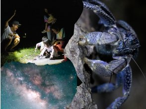 SALE!【ナイト/1時間】石垣島の夜の生き物探索 &星空鑑賞! 短時間で手軽にナイトウォッチング！全額返金保証アリ