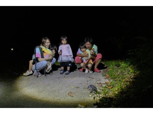 【ナイト/1時間】石垣島の夜の生き物探索 ! 短時間で手軽にナイトウォッチング！全額返金保証アリの画像