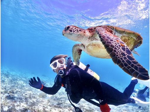 【沖縄・宮古島・ダイビング】【温水シャワー付き！】たっぷり満喫！貸切ビーチ体験ダイビング（水中写真付き）の画像