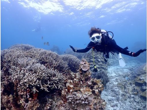 <Regional coupon support> [Okinawa/Miyakojima/Diving] Safe even for the first time! Private beach experience diving (with underwater photo)の画像