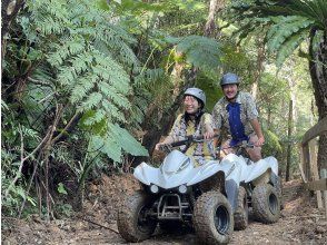 [Held in Nago City, Okinawa] Adventure in the Yanbaru forest on a buggy ★ Participants from age 4 are welcome! Excellent access to the Churaumi Aquarium and Nago City tourist facilities ★ Experience the "Yanbaru forest" to the fullestの画像
