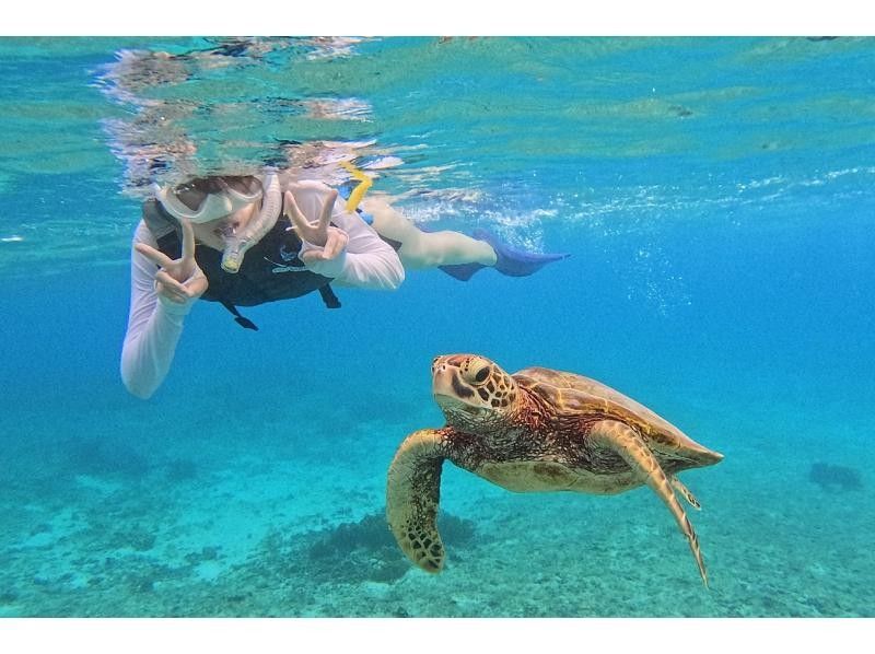 【오키나와 미야코 섬】 기간 한정 가격 ☆ 바다 거북과 추억 만들기! 해외 클래스의 아름다운 바다에서 스노클링 체험 (빈손 OK · 당일 예약 OK)の紹介画像