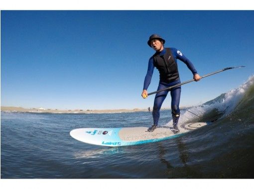 TED SURF SHOP