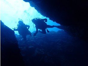 [Blue Cave Experience Diving Tour]  Unlimited underwater photography.