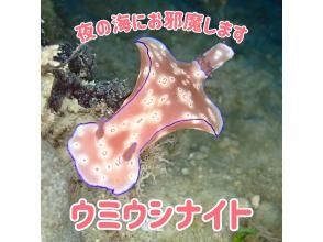 【우미우시나이트 다이빙】비치(1 다이브)/1개 약 60분의 롱 다이브/송영 첨부/1분 OK/の画像