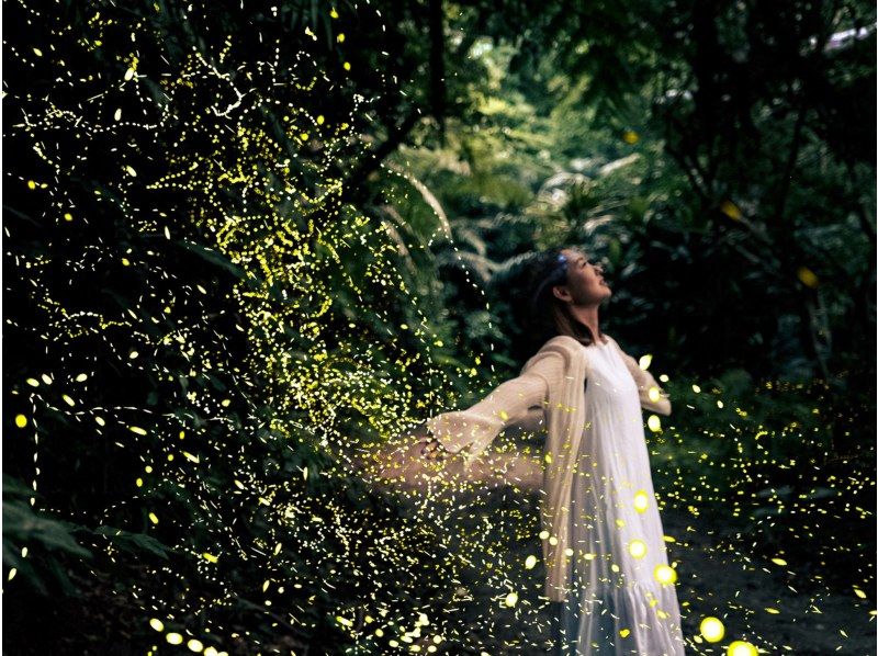 石垣島/夕方】《期間限定》 ☆0歳〜2歳まで無料！☆天然