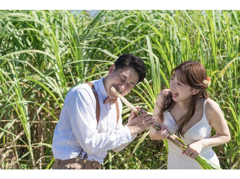 [Okinawa Ishigaki Island] World's first! Ishigaki Island Experience Photo Wedding ♪ A whole day of wedding photography, harvesting experience, and sunset Sanshin performance!の紹介画像