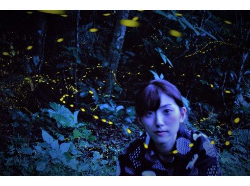 [Okinawa, Ishigaki Island] April-July only ★ [Sunset, Fireflies, Hanging Flowers] Rare! Night tour Free photography and free pick-up! SUN/NTの画像