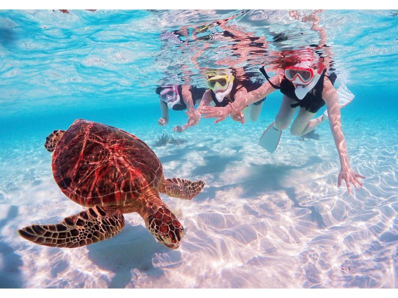 "Marlin Miyakojima" Yaebiji Seaside People enjoying snorkeling