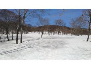 【長野・飯山】3月からの、なべくら高原　のんびりプライベート雪上散歩　レンタル付き！ スノーシュー 体験