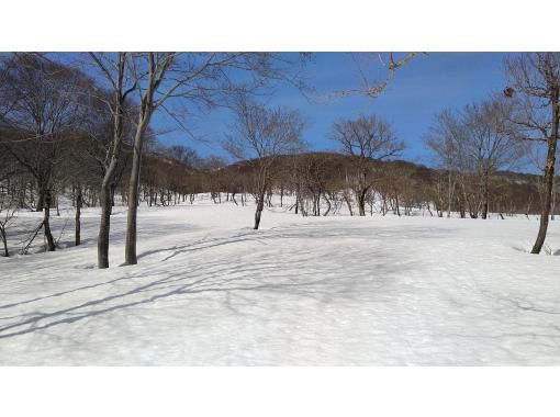 【長野・飯山】3月からの、なべくら高原　のんびりプライベート雪上散歩　レンタル付き！ スノーシュー 体験の画像