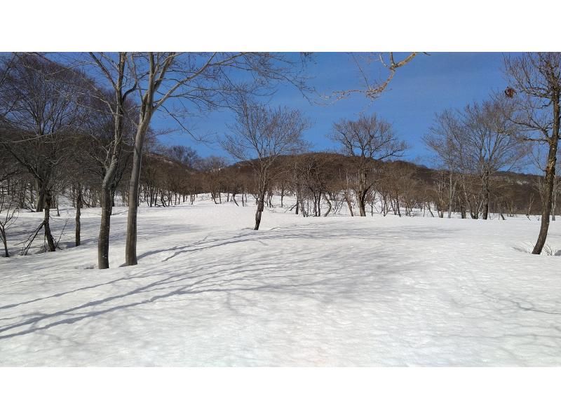 【長野・飯山】3月からの、春のなべくら高原　のんびりプライベート雪上散歩　レンタル付き！ スノーシュー 体験の紹介画像