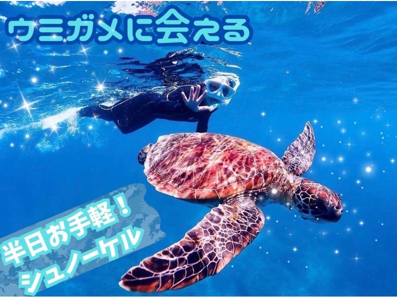 ≪Ishigakijima PM only≫ Ishigakijima lowest price! Limited period in February ¥5000 OFF Snorkeling Limited to 1 group per dayの紹介画像