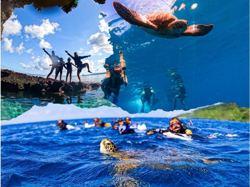 [95% chance of encountering sea turtles] 3 hours! Same-day reservations OK☆ Sea turtle snorkeling & blue cave exploration tour! Free pick-up and drop-off! Free GoPro photo data》の紹介画像