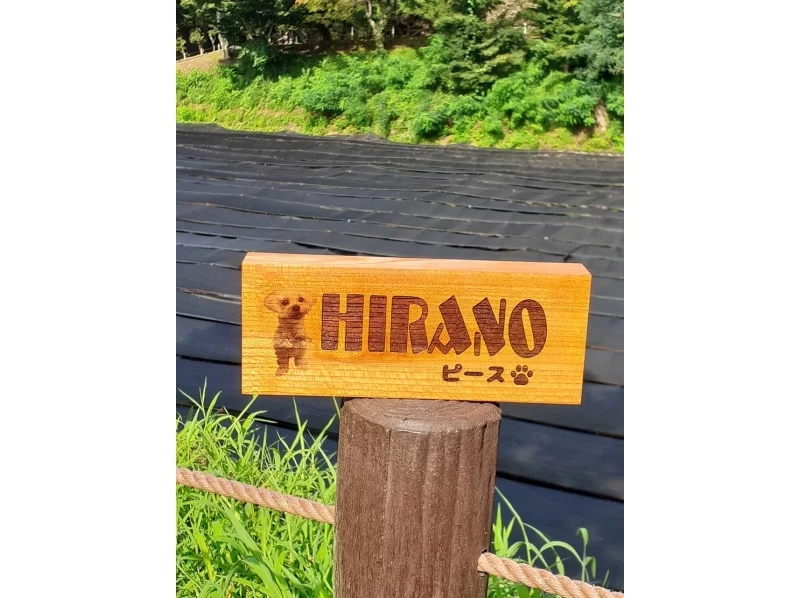 [Nagano/Azumino] Produce together with couples and families! Let's make an original "nameplate" with laser engraving! Make an important nameplate a dish filled with everyone's thoughtsの紹介画像