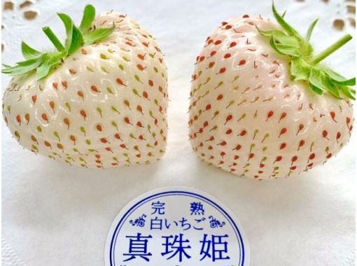 [Nagano/Karuizawa] Pearl Princess (white strawberry) fixed quantity picking plan ★ Bronze Award winner at Strawberry Grand Prix 2025 ★ You can pick and take home ♪の画像