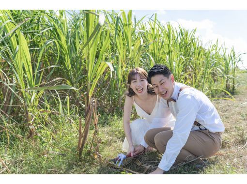 [Okinawa Ishigaki Island] Beach & Sugarcane Experience Photo Wedding ♪ Wedding photo ♪ Sugarcane harvesting experience for beach photographyの画像