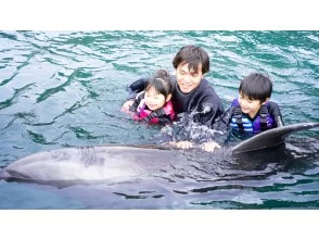 [Shizuoka/Shimoda] You can play with dolphins while floating in the cove! Exciting dolphin experience! (Inexperienced people OK, participation possible from the first grade of elementary school)の画像