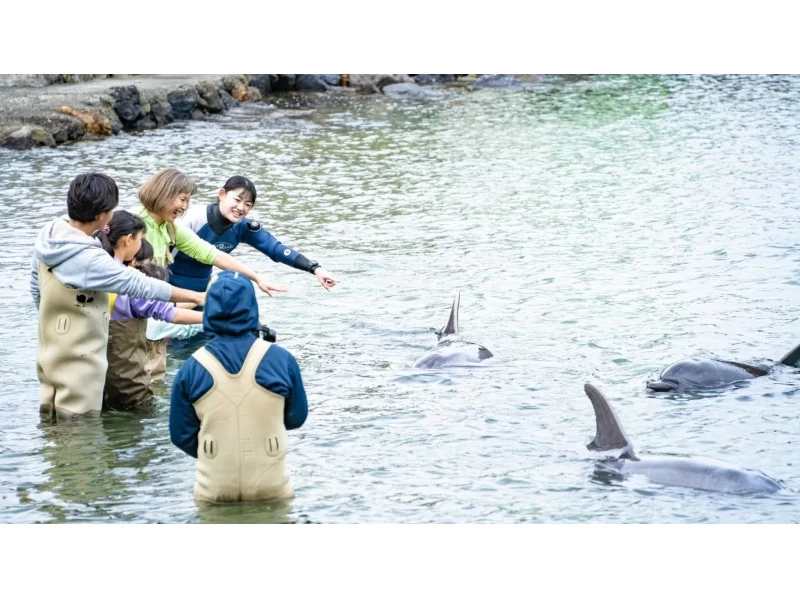 【北海道・SUP体験】透明度の高い支笏湖の湖面をクルージング！SUP体験（半日コース）の画像