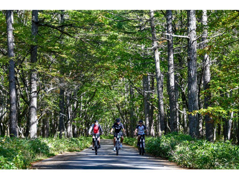 Odashirogahara & Senjugahama Forest Ride (approximately 18km) [E-bike self-guided tour, departure and arrival at Akanuma Nature Information Center]の紹介画像
