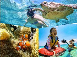 [100% encounter rate continues] Enjoy the Miyako blue sea turtle snorkeling! ★Beginners and families welcome★ [Free photos]