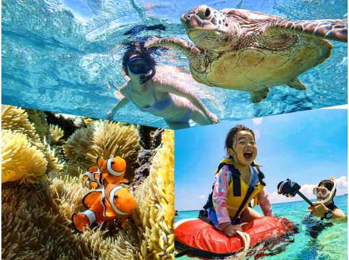 [100% encounter rate continues] Enjoy the Miyako blue! Sea turtle snorkeling {2023 results} ★Beginners/Families welcome★ [Free photos]の画像