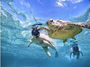 [100% encounter rate continues] Enjoy the Miyako blue! Sea turtle snorkeling {2024 results} ★Beginners/Families welcome★ [Free photos]