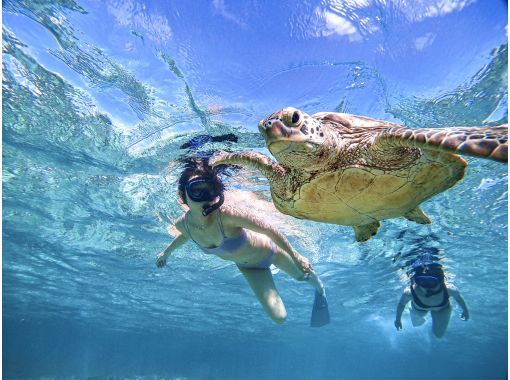 [100%遭遇率持续]享受宫古蓝！海龟浮潜《2024年成绩》★欢迎初学者/家庭★[免费照片]の画像