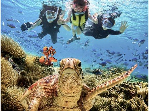 【宮古島/直前予約OK・送迎相談OK】 泳げなくても安心★天然の水族館 シュノーケリング|ウミガメ・ニモ・ サンゴに会える!|写真・備品無料 【宮古島/直前予約OK・送迎相談OK】 泳げなくても安心★天然の水族館 シュノーケリング|ウミガメ・ニモ・ サンゴに会える!|写真・備品無料