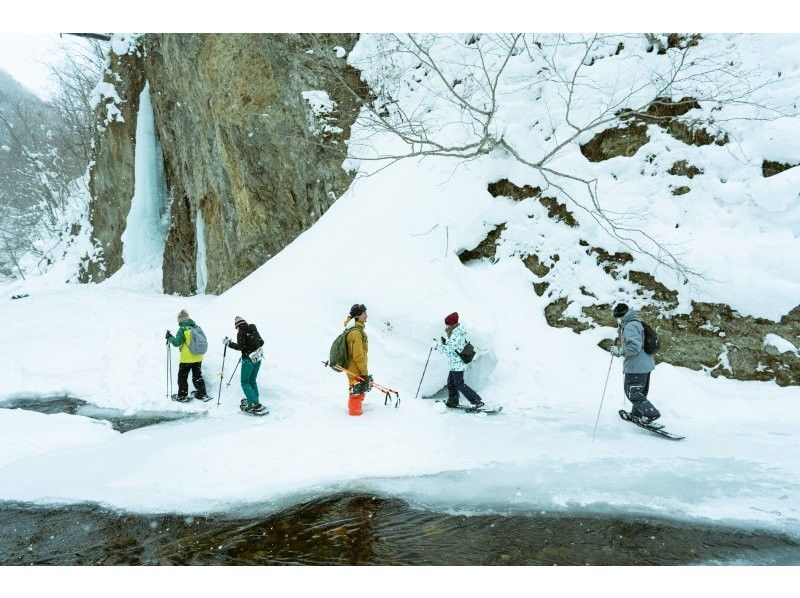 [Hokkaido, Sapporo, Jozankei] Let's walk through the forest with snowshoes, which can only be visited in winter! ～Tekuteku Winter Forest Exploration Tour～ (includes bonfire and roasted marshmallows)の紹介画像