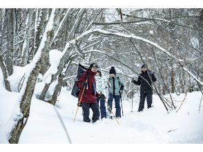 [Hokkaido, Sapporo, Jozankei] Recommended for those who want to do a little skiing or walk through the winter forest! ~Smooth Snow Hike~ (includes bonfire and roasted marshmallows)